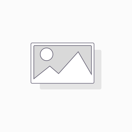 Audi, Porsche